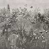 Livi Hortus-behang-Tapete-LondonArt-03-RAW-S120-18058 03-Selected Wallpapers