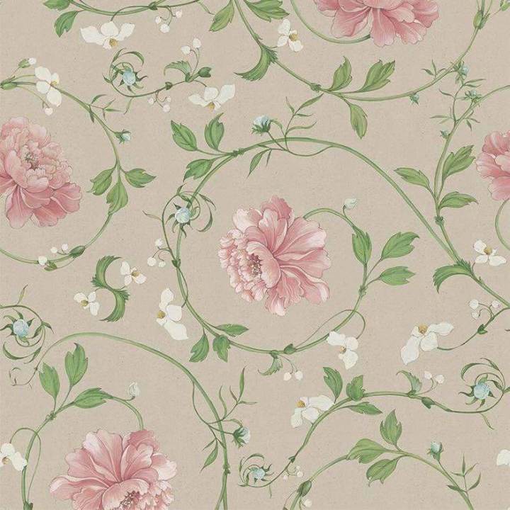 Lorenzo Meazza - Mirabelle-Behang-Tapete-Coordonne-Stella-Rol-8000060N-Selected Wallpapers