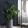 Lounge-behang-Tapete-Isidore Leroy-Selected Wallpapers