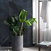 Lounge-behang-Tapete-Isidore Leroy-Selected Wallpapers