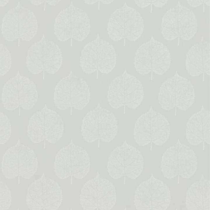 Lyme Leaf-behang-Tapete-Sanderson-Dove-Rol-216384-Selected Wallpapers