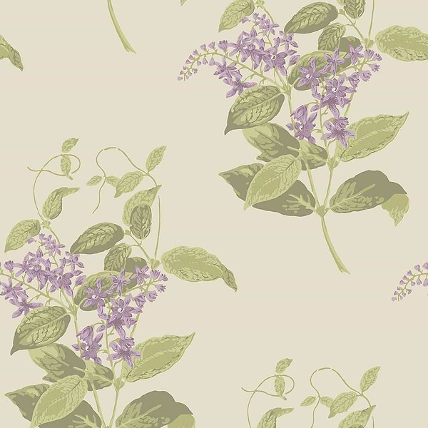 Madras Violet-Behang-Tapete-Cole & Son-Purple & Olive-Rol-100/12056-Selected Wallpapers