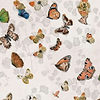 Magic Butterflies-Behang-Tapete-Coordonne-Linen-Rol-9500051-Selected Wallpapers