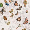 Magic Butterflies-Behang-Tapete-Coordonne-Linen-Rol-9500051-Selected Wallpapers