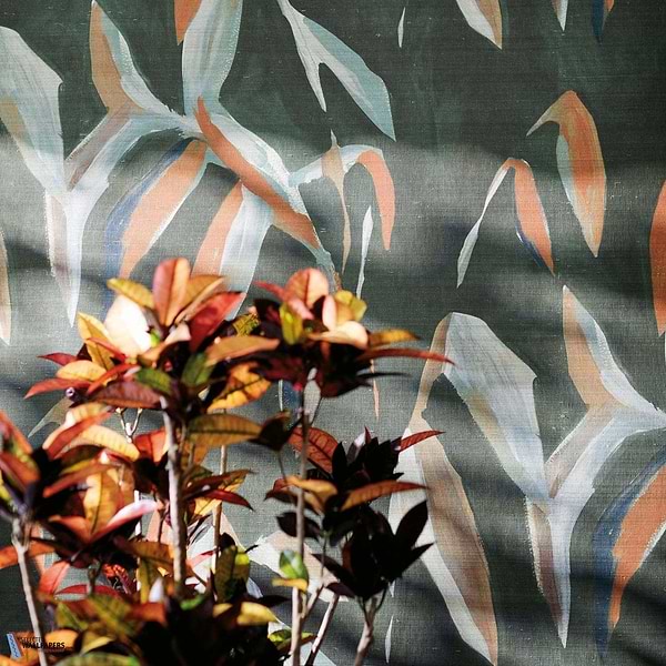 Makona-behang-Tapete-Black Edition-Selected Wallpapers