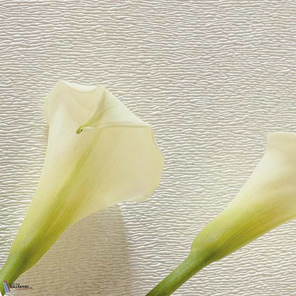 Maud-Behang-Tapete-Pierre Frey-Selected Wallpapers