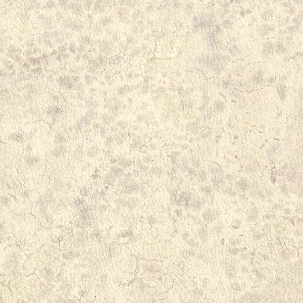 Moon-behang-Tapete-Nobilis-0-Meter (M1)-DPN20-Selected Wallpapers