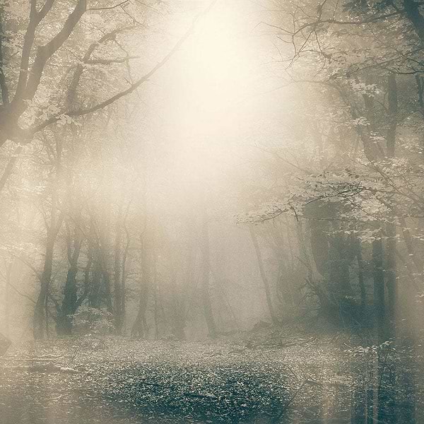 Moonlight-Behang-Tapete-Inkiostro Bianco-1-Vinyl 68 cm-INKNEHA2201-Selected Wallpapers