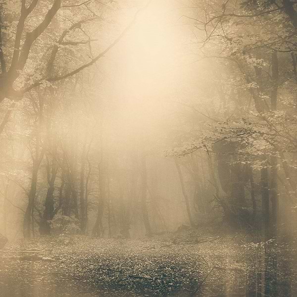 Moonlight-Behang-Tapete-Inkiostro Bianco-2-Vinyl 68 cm-INKNEHA2202-Selected Wallpapers