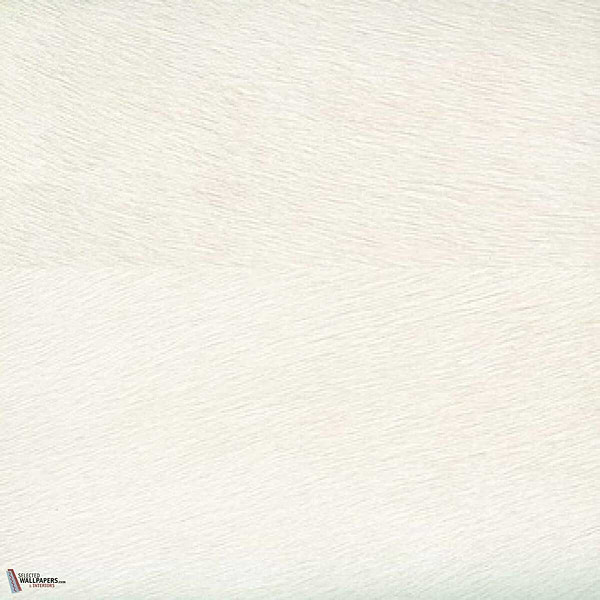 Movida-behang-Tapete-Elitis-1-Rol-VP 625 01-Selected Wallpapers