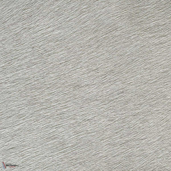 Movida-behang-Tapete-Elitis-4-Rol-VP 625 04-Selected Wallpapers