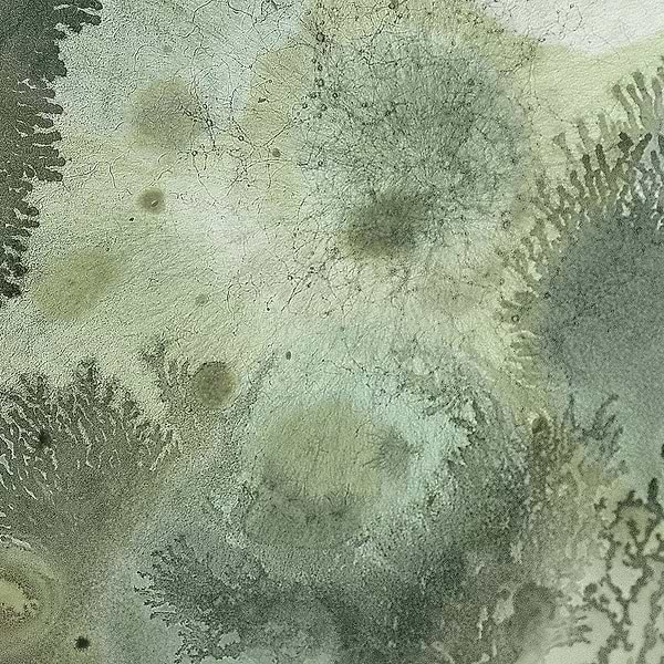 Mufarina-Behang-Wall & Deco-02-Wet System-WET_MU2102-Selected Wallpapers