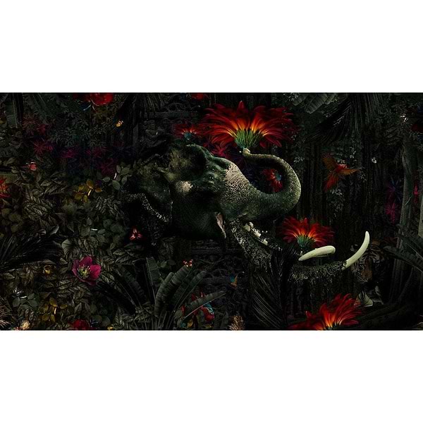 Mumba Kanda-behang-Tapete-Muance-Selected Wallpapers