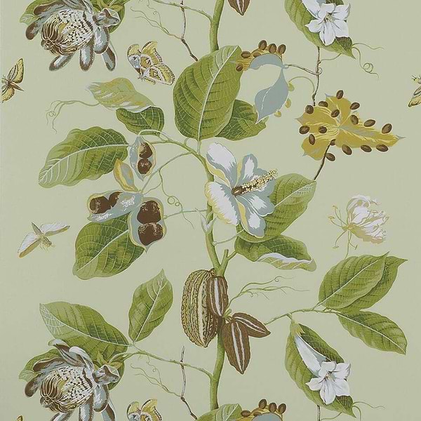 Nakai-behang-Tapete-Boussac-Pistacchio-W4864006-Selected Wallpapers