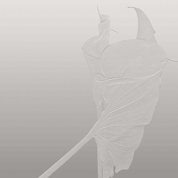 Nancy Clare-Behang-Tapete-Glamora-1B-GlamSatin-GLDVN221B-Selected Wallpapers