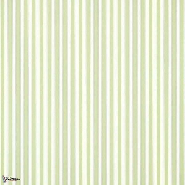 New Tiger Stripe-behang-Tapete-Sanderson-Green/Ivory-Rol-DCAVTP103-Selected Wallpapers