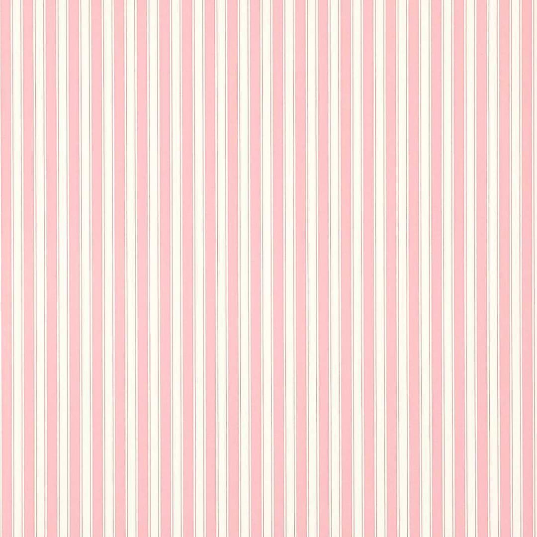 New Tiger Stripe-behang-Tapete-Sanderson-Rose/Ivory-Rol-DCAVTP101-Selected Wallpapers