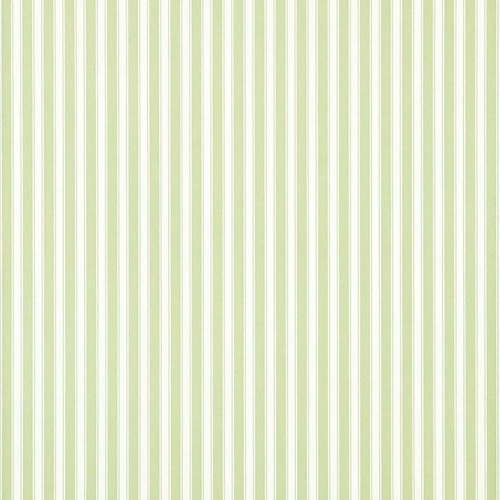 New Tiger Stripe-behang-Tapete-Sanderson-Green/Ivory-Rol-DCAVTP103-Selected Wallpapers