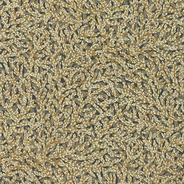 Nootka-Behang-Tapete-Zoffany-Antique Gold-Rol-313027-Selected Wallpapers