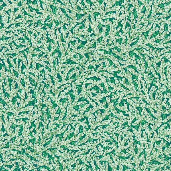 Nootka-Behang-Tapete-Zoffany-Poison-Rol-313028-Selected Wallpapers