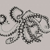 Octopus X-Ray-Behang-Tapete-Coordonne-Ink-Non Woven-9500800-Selected Wallpapers