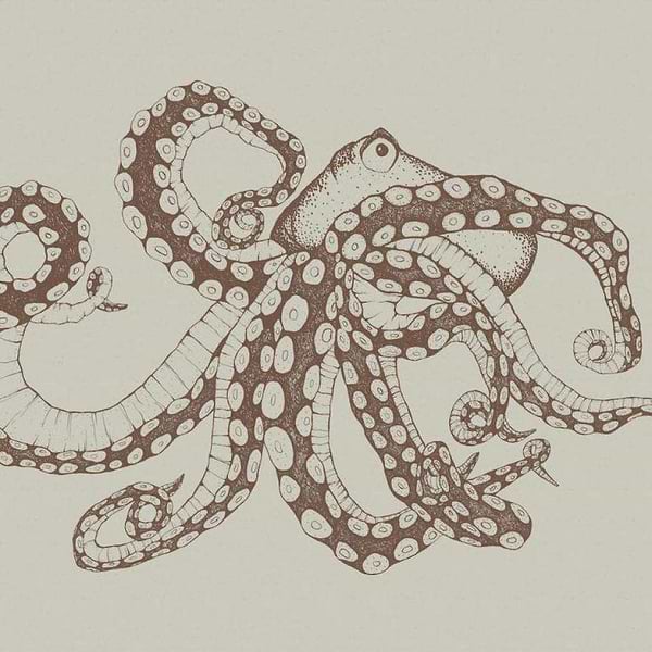 Octopus X-Ray-Behang-Tapete-Coordonne-Papirus-Non Woven-9500801-Selected Wallpapers