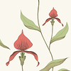 Orchid-behang-Tapete-Cole & Son-Rouge & Olive-Rol-95/10054-Selected Wallpapers