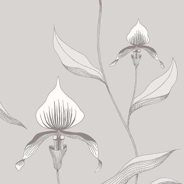 Orchid-behang-Tapete-Cole & Son-White & Dove-Rol-95/10055-Selected Wallpapers