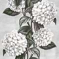 Ortensia-behang-Tapete-LondonArt-Selected Wallpapers