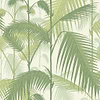 Palm Jungle-behang-Tapete-Cole & Son-Olive Green-Rol-95/1001-Selected Wallpapers