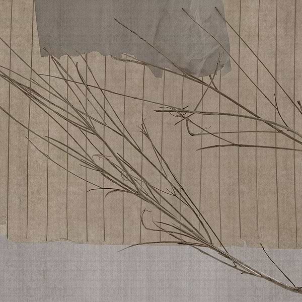 Panacea-behang-Tapete-Glamora-1A-GlamFusion-GLHY181A-Selected Wallpapers