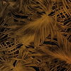 Passion Leaf-behang-Tapete-Muance-67-Vinyl-MU11067-Selected Wallpapers