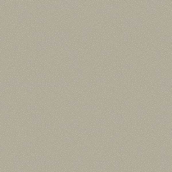 Pebble-Behang-Tapete-Cole & Son-Shell-Rol-106/2016-Selected Wallpapers