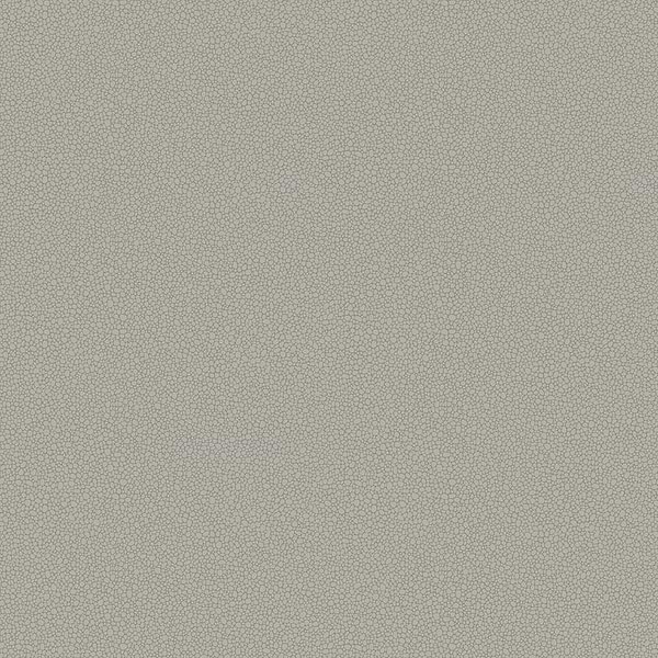 Pebble-Behang-Tapete-Cole & Son-Dark Grey-Rol-106/2018-Selected Wallpapers