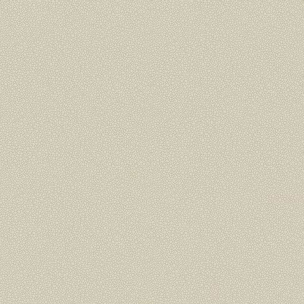 Pebble-Behang-Tapete-Cole & Son-Stone-Rol-106/2022-Selected Wallpapers