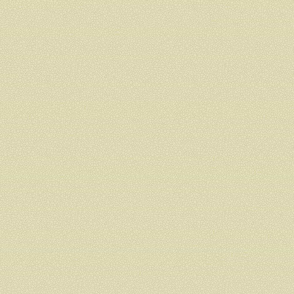 Pebble-Behang-Tapete-Cole & Son-Cream-Rol-106/2023-Selected Wallpapers