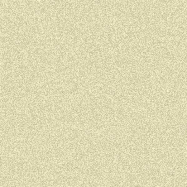 Pebble-Behang-Tapete-Cole & Son-Cream-Rol-106/2023-Selected Wallpapers