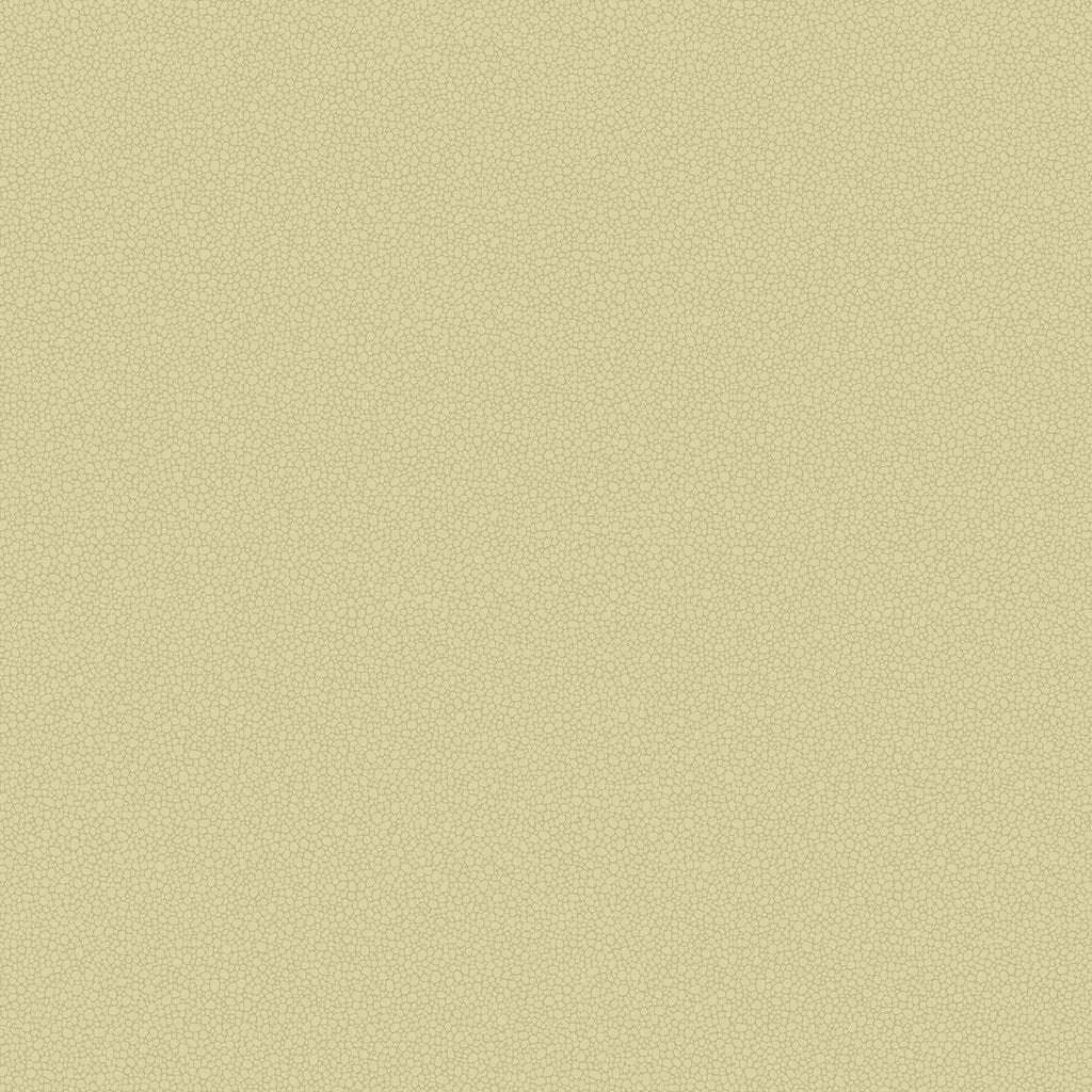Pebble-Behang-Tapete-Cole & Son-Oat-Rol-106/2024-Selected Wallpapers
