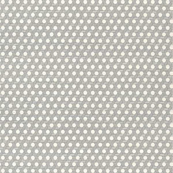 Pergola-Behang-Tapete-Thibaut-Black-Rol-T12807-Selected Wallpapers