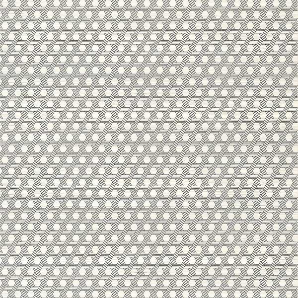 Pergola-Behang-Tapete-Thibaut-Black-Rol-T12807-Selected Wallpapers