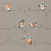 Persico-behang-Tapete-Harlequin-Tangerin/Duckegg-Rol-111485-Selected Wallpapers