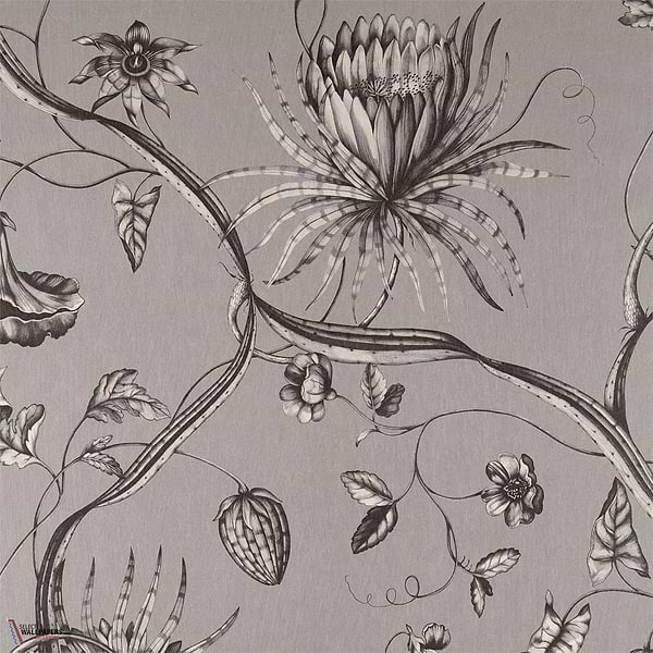 Phaedra-Behang-Tapete-Zoffany-Silver-Meter (M1)-312621-Selected Wallpapers