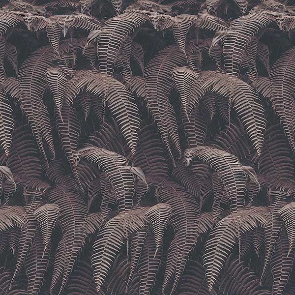 Phaedra-Behang-Tapete-Inkiostro Bianco-1-Vinyl 68 cm-INKRTAI2201-Selected Wallpapers