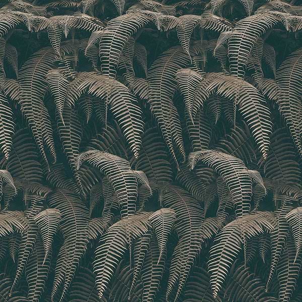 Phaedra-Behang-Tapete-Inkiostro Bianco-3-Vinyl 68 cm-INKRTAI2203-Selected Wallpapers