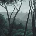 Pine Trees-behang-Tapete-Les Dominotiers-Original-Non Woven 70 cm-DOM1510-Selected Wallpapers