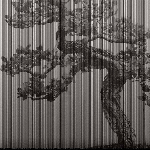 Plague-behang-Tapete-LondonArt-01-RAW-S120-20016 01-Selected Wallpapers