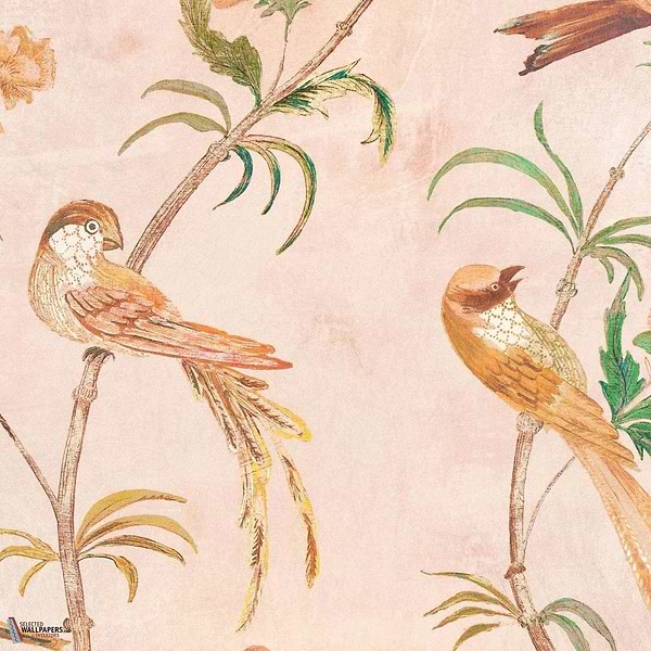 Pluma-Behang-Tapete-Romo-Blush-Rol-W444/03-Selected Wallpapers