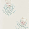 Protea Flower-behang-Tapete-Sanderson-Procelain/Blush-Rol-216330-Selected Wallpapers