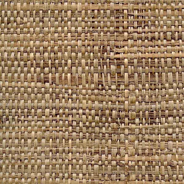 Raffia Feuilles de Bananier-Behang-Tapete-CMO Paris-Sable-Meter (M1)-CMO WRA 01 21-Selected Wallpapers