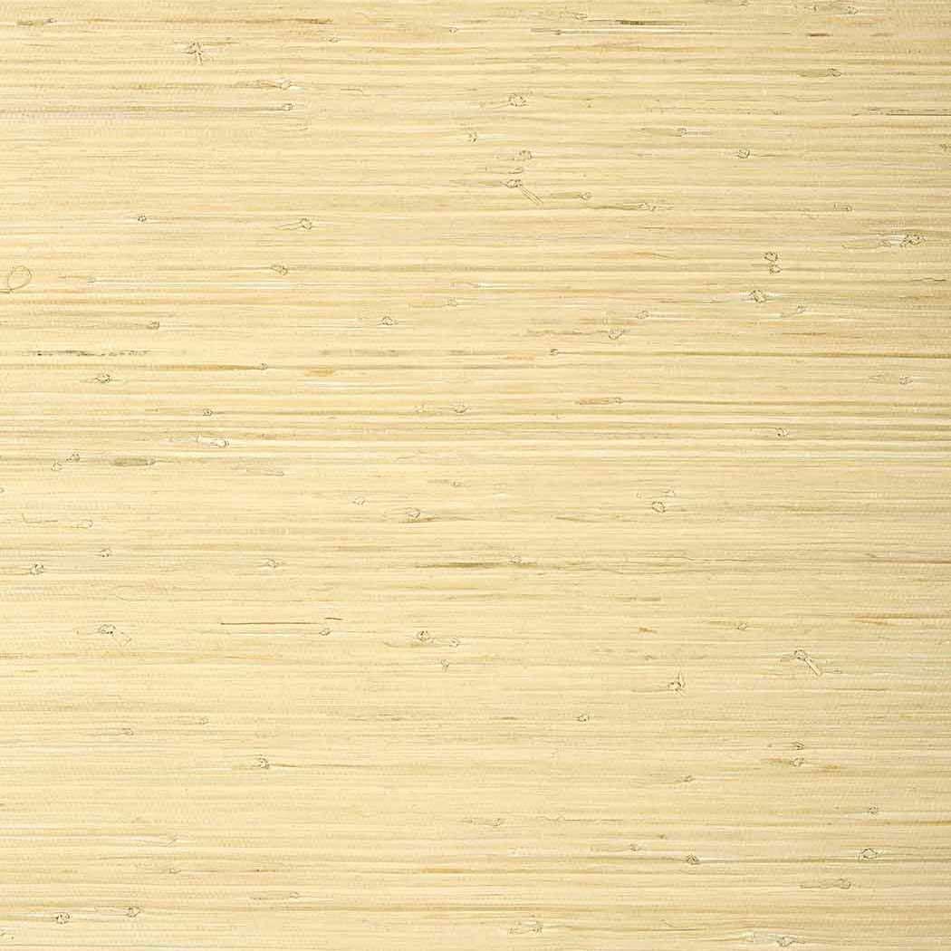Raffia Palm-Behang-Tapete-Thibaut-Natural-Rol-T24065-Selected Wallpapers